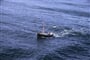 Sardinie - rybářská loď