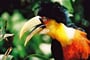 Foto - .Bolívie,Parag, Argen, Brazil - Napříč Jižní Amerikou