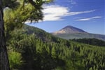 Tenerife - mezi sopkami a exotickými soutěskami
