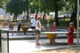 porec-2011-zel_lag-delfin_htl_15