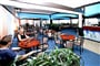 porec-2011-zel_lag-delfin_htl_18