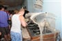 gradac-2010-laguna_htl-16