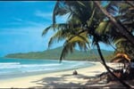 MADAGASKAR - GALAPÁGY AFRICKÉKO KONTINENTU