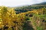 Dunajská cyklostezka - vinařská krajina Wachau (UNESCO)  © Foto: Österreich Werbung