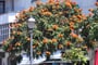 MADEIRA