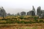 Francie - Bretaň - Carnac, pole Kermario, velikost některých menhirů přesahuje 3 metry, celkem 1029 menhirů