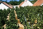 Wellness víkend v Egeru