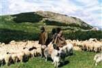 Velký okruh Ukrajinou, poklady Kyjevské a Podkarpatské Rusi