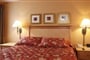 Accent Inn-standard