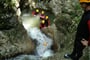 Canyoning.2008 113