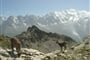Chamonix-53