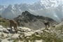 Chamonix-54