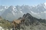 Chamonix-56