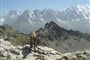 Chamonix-57