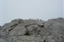 Dachstein-72