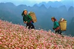 Trekking v oblasti Mae Hong Son s pobytem na ostrově Koh Lanta - 12 dní
