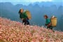 Trekking v oblasti Mae Hong Son s pobytem na ostrově Koh Lanta - 12 dní