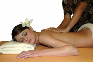 Velké Losiny - Pohoda po jávsku - Wellness hotel Diana***