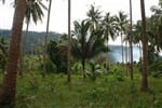 Za poznáním panenské přírody v NP Khao Yai s pobytem na ostrově Phuket - 12 dní