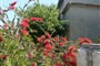 Istrie na kole .2008 043
