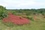 Istrie na kole .2008 228