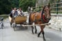 Dunajec s turistikou.2008 (144)