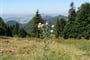 Dunajec s turistikou.2008 (233)