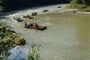 Dunajec s turistikou.2008 (299)