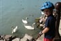 Balatonské lážo plážo pro děti i dospěláky-43
