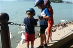 Balatonské lážo plážo pro děti i dospěláky-44