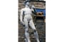 David