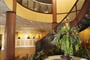 Dolphin Beach resort-lobby a recepce