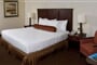 B.W. Palm Beach Inn-pokoj s lůžkem king