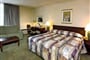 Wellesley Inn Atlanta-pokoj s lůžkem king