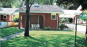 Bibione - vilky Agave ***