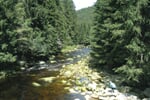 CR_Sumava_Povydri_10