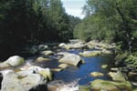 CR_Sumava_Povydri_2_10