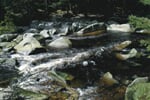 CR_Sumava_Povydri_3_10