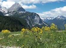 Zugspitze arena - romantické Alpy a zámky z německé i rakouské strany