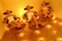 sibenik-solaris-well_spa_cen_3