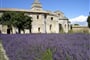 poznávací zájezd Francie Provence 0012