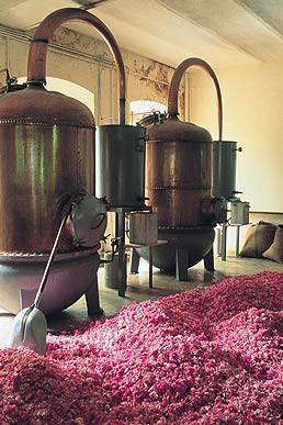 poznávací zájezd Francie Provence 0024