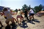 starigrad-lavanda_primasol_htl-14