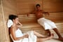 bol-elaphusa-htl-29sauna ela 3