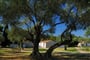 rovinj-villas_rubin-apt-02