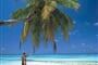 Foto - Maledivy, Kuredu Island Resort ***+ , Maledivy-Lhaviyani atol