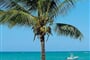 Foto - Keňa, Papillon Lagoon Reef Hotel ***+, Diani Beach, jižní pobřeží