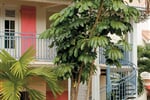Foto - Martinik - Guadeloupe, Apartmíny Creole Village **+ Trois Ilets, La Sucriere du Comte **, Pointe Ferry, Deshaies