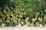 Fidži, Tokoriki Island Resort ****, Mamanuca