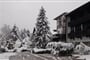 Val di Fiemme - Hotel Regina Delle Dolomiti ***